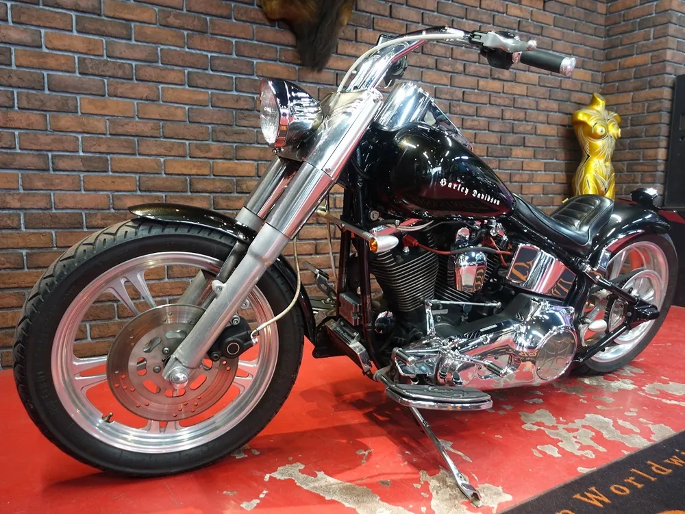 Harley-Davidson FLSTF 1997, фото 5