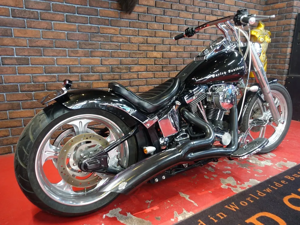 Harley-Davidson FLSTF 1997, фото 6