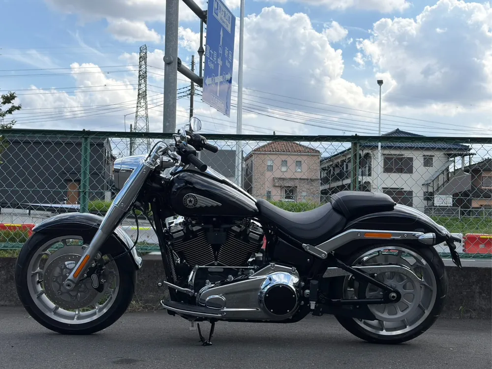 Harley-Davidson FLFB 2026, чёрный, фото 2