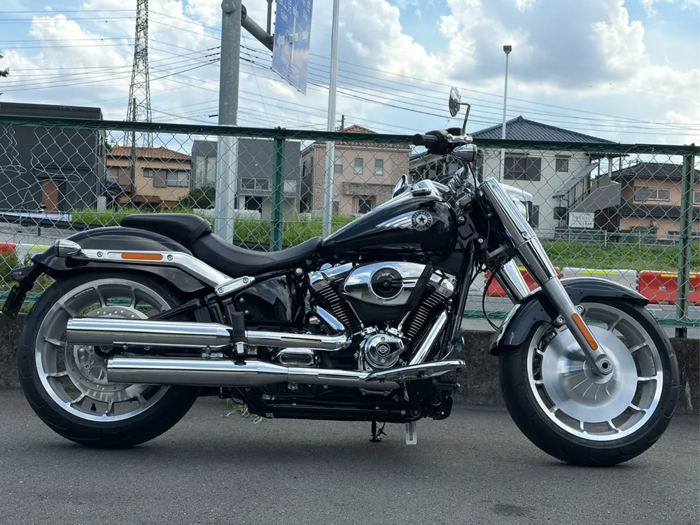 Harley-Davidson FLFB 2026, чёрный, фото 3
