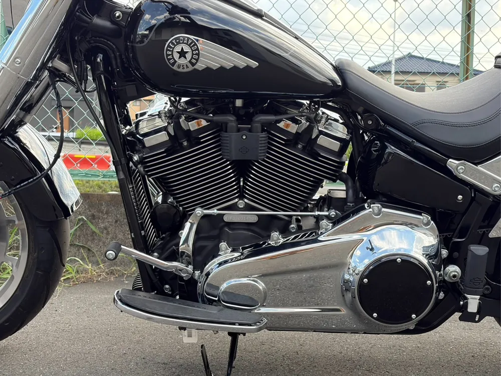 Harley-Davidson FLFB 2026, чёрный, фото 5