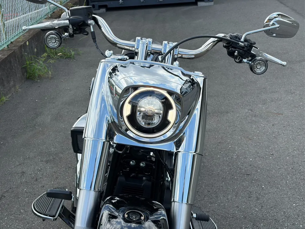 Harley-Davidson FLFB 2026, чёрный, фото 9