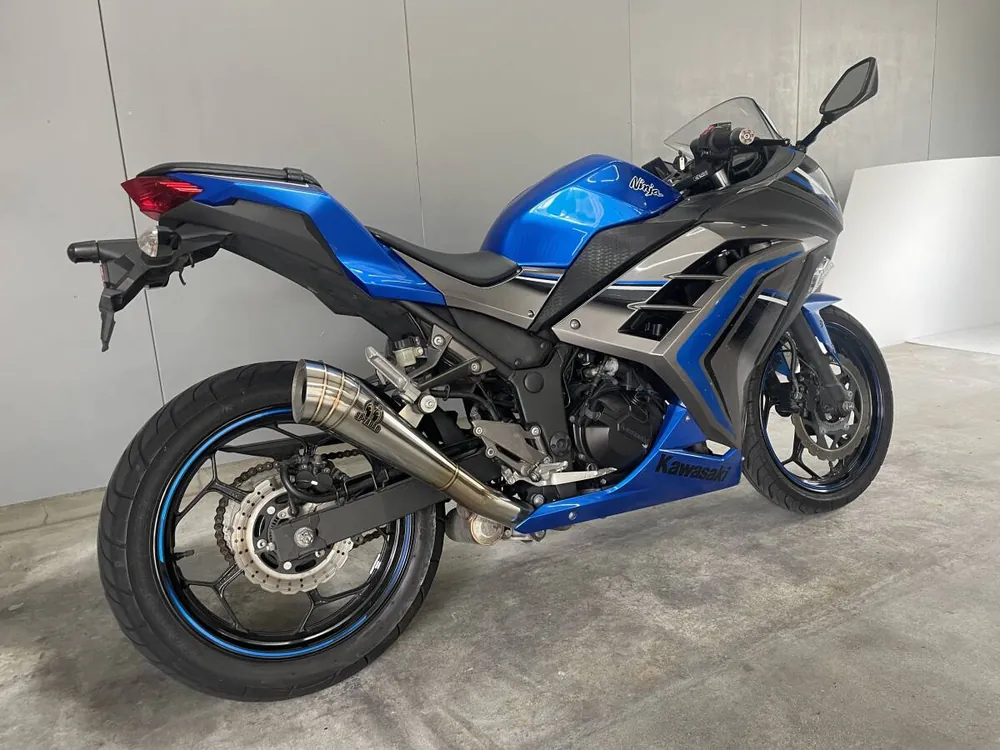 Kawasaki Ninja 250 2016, фото 3
