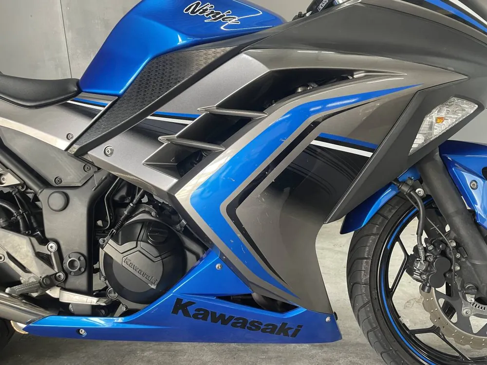 Kawasaki Ninja 250 2016, фото 6