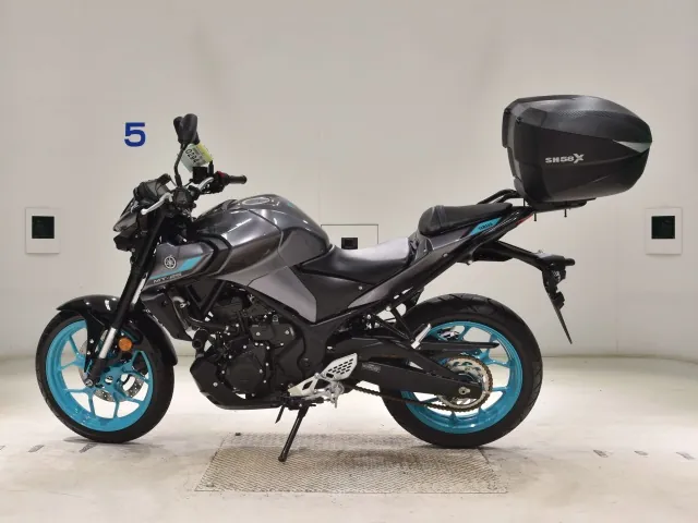 Yamaha YZF-R25, gunmetal, фото 2