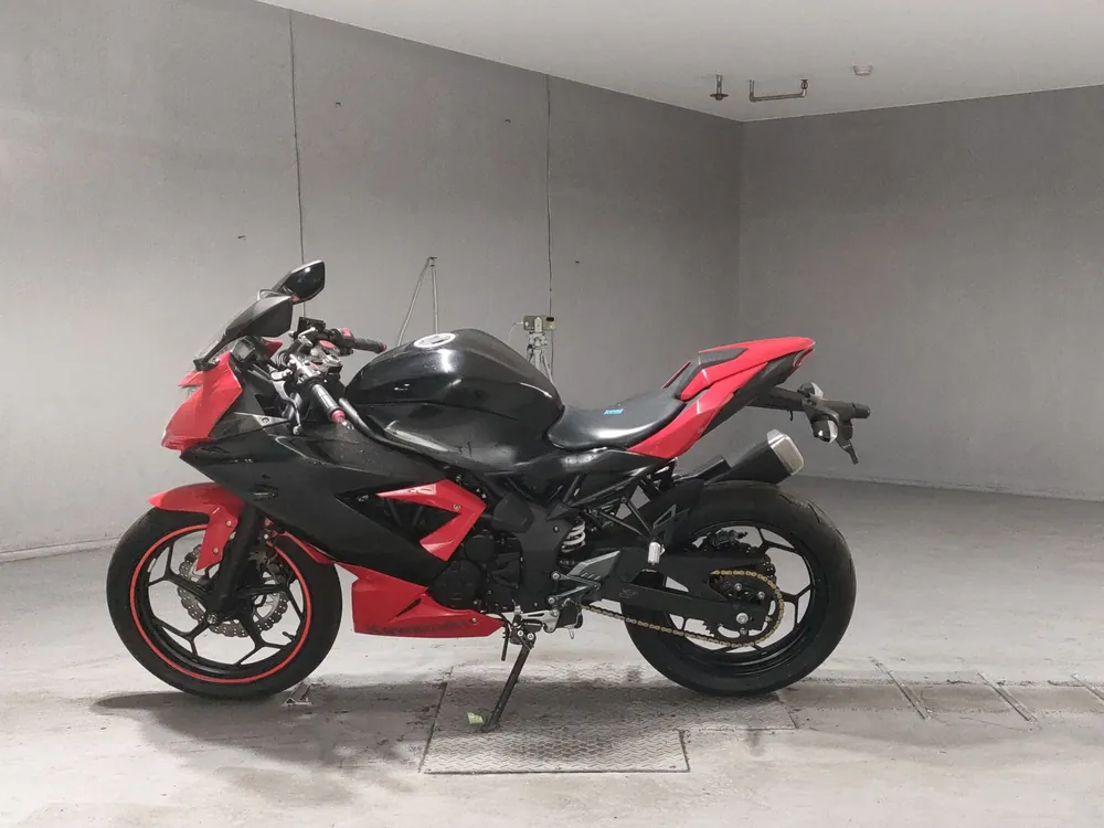 Kawasaki Ninja 250SL, black/red, фото 2