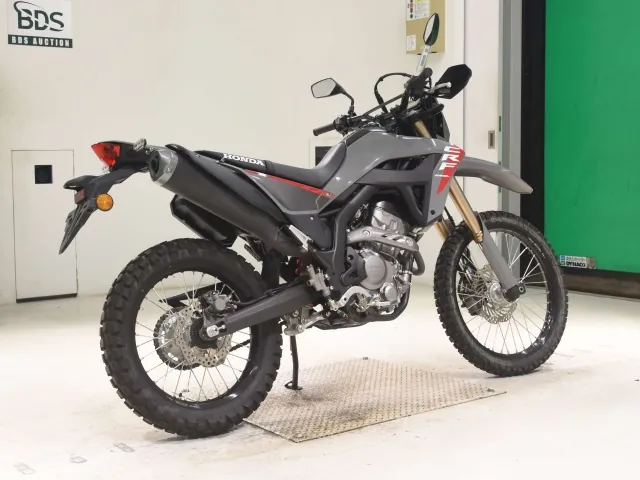 Honda CRF250 Rally, чёрный, серый, фото 5