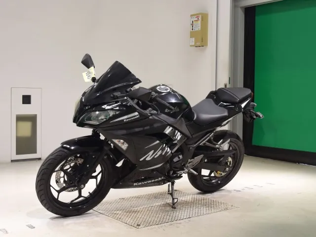Kawasaki Ninja 250, чёрный, фото 4