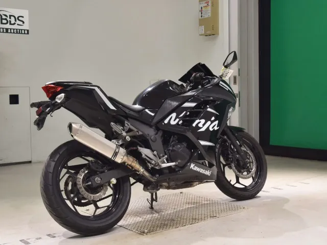 Kawasaki Ninja 250, чёрный, фото 5