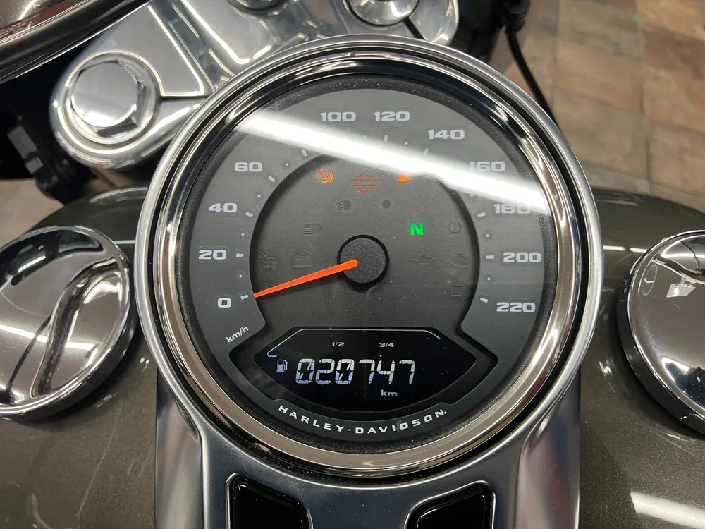 Harley-Davidson FLFBS 2018, light brown, фото 3