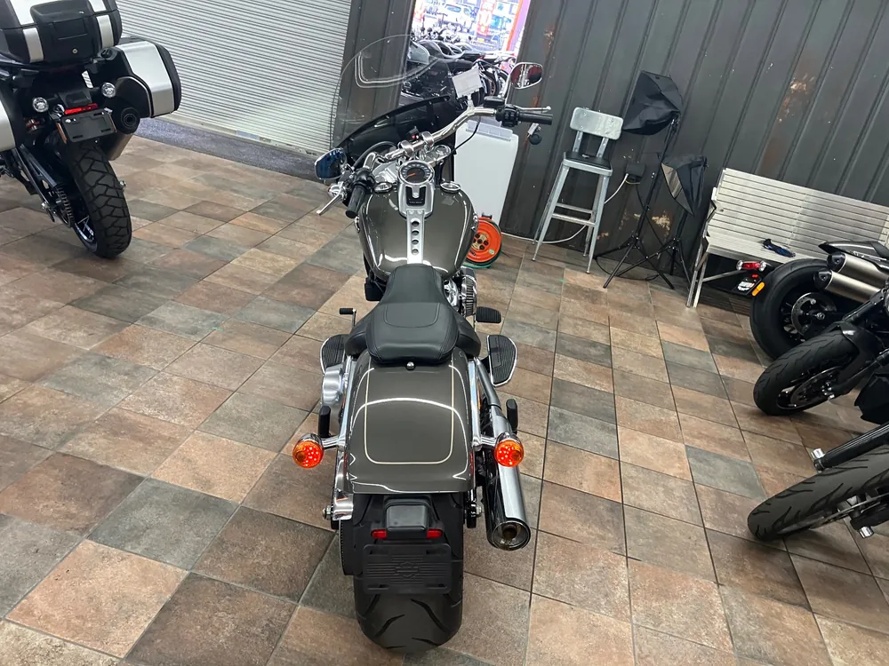 Harley-Davidson FLFBS 2018, light brown, фото 5