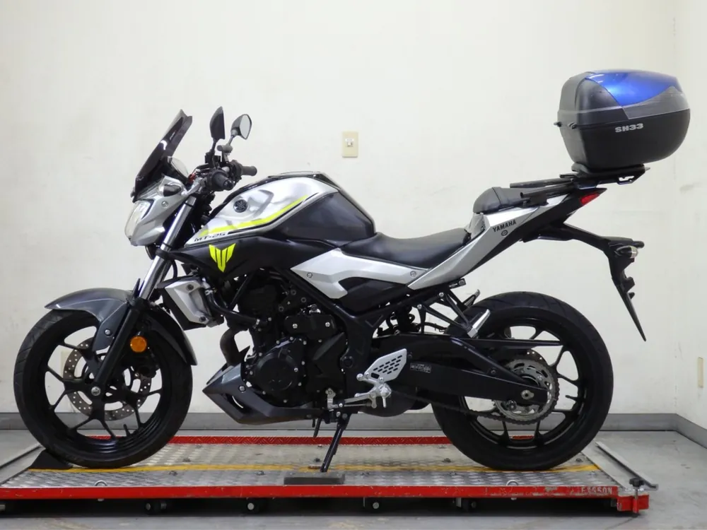 Yamaha YZF-R25, silver/gray, фото 2