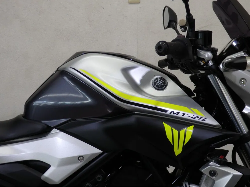 Yamaha YZF-R25, silver/gray, фото 13