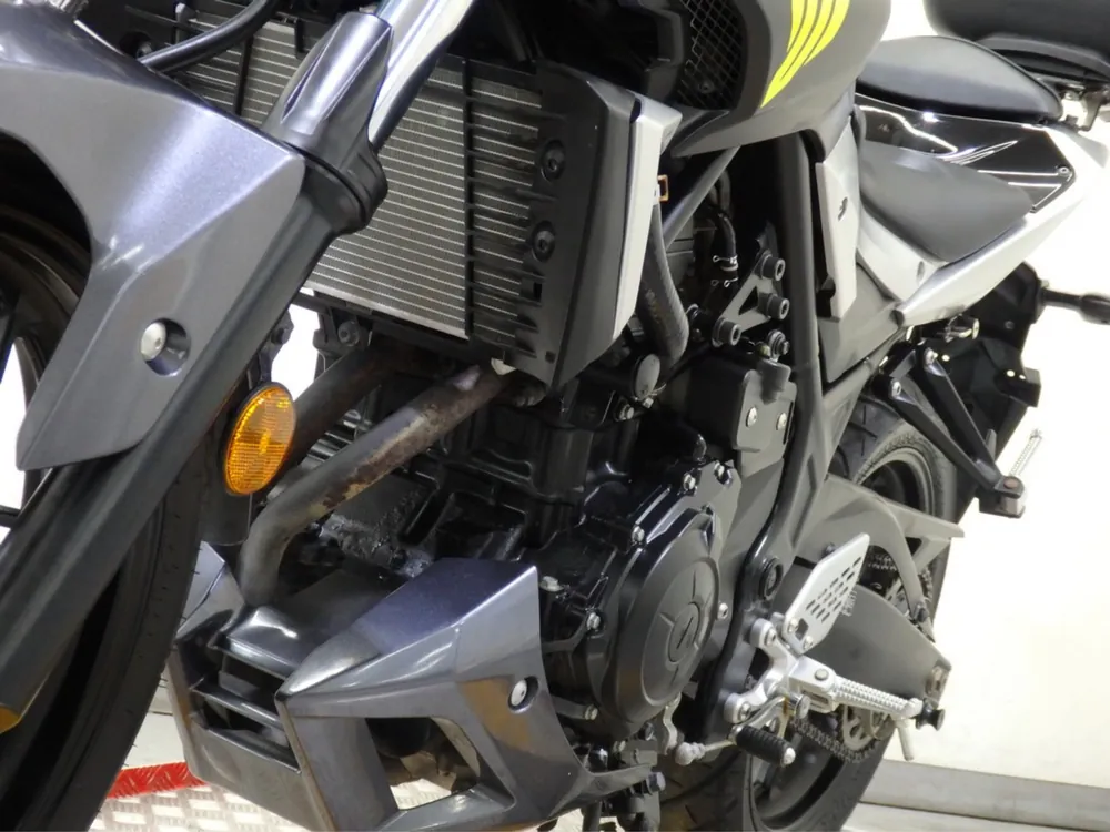 Yamaha YZF-R25, silver/gray, фото 18