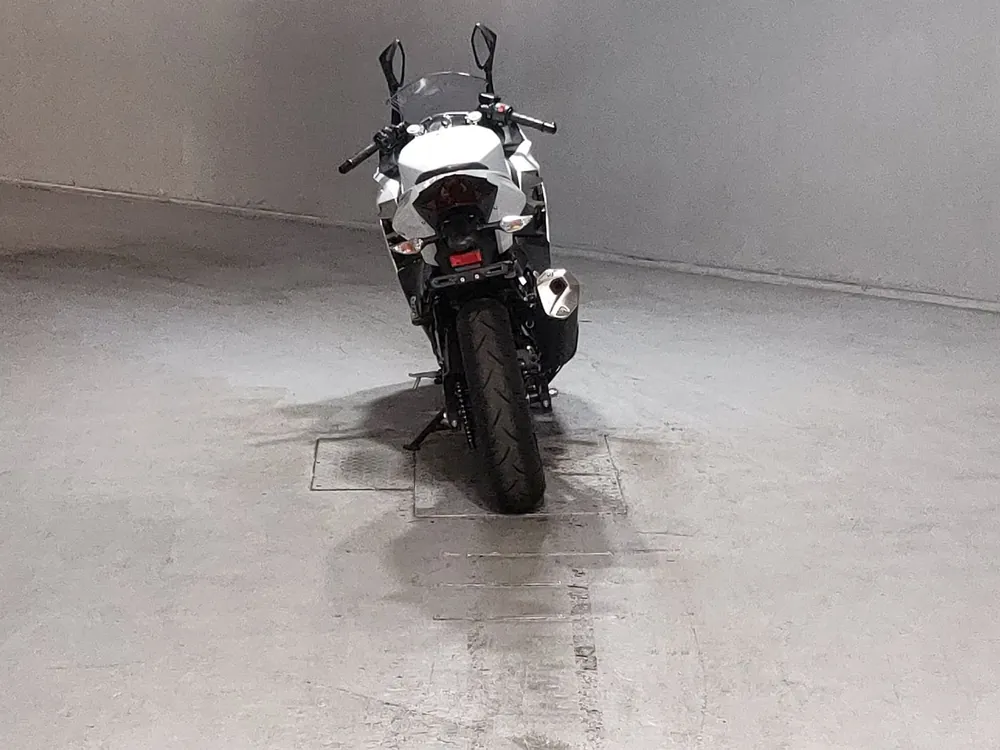 Kawasaki Z400 2022, белый, фото 4