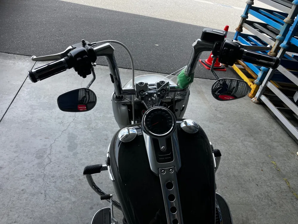 Harley-Davidson FLFBS 2019, чёрный, фото 3