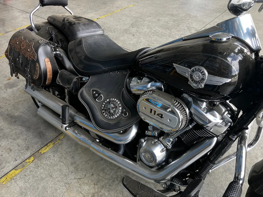 Harley-Davidson FLFBS 2019, чёрный, фото 6