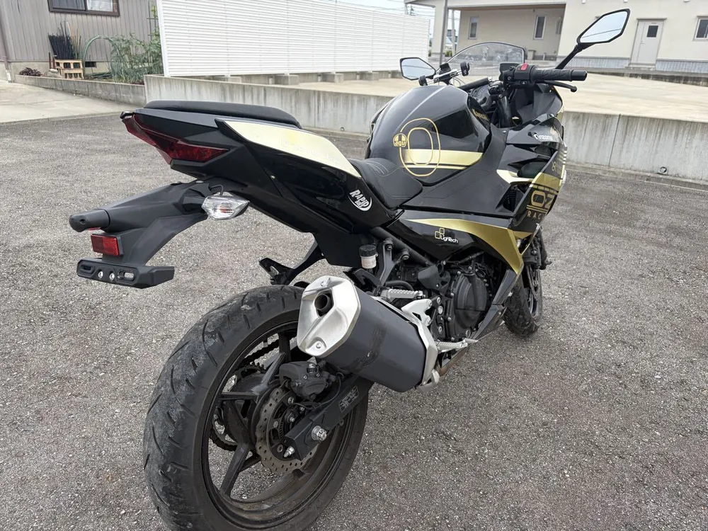 Kawasaki Ninja 400 2024, фото 3