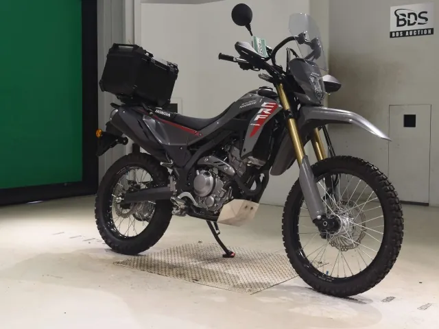 Honda CRF250 Rally, серый, фото 3
