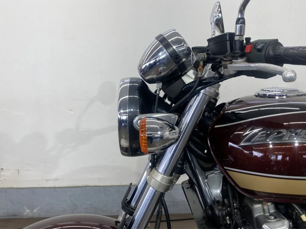 Kawasaki ZRX1100 2002, light brown, фото 15