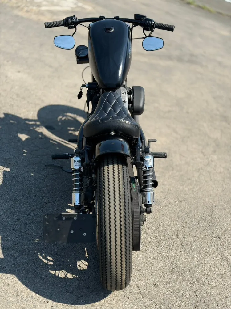 Harley-Davidson XL1200N 2010, фото 8