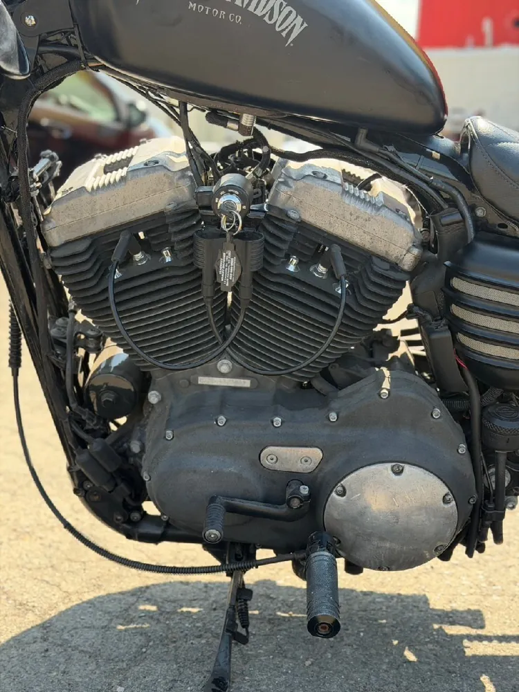 Harley-Davidson XL1200N 2010, фото 10