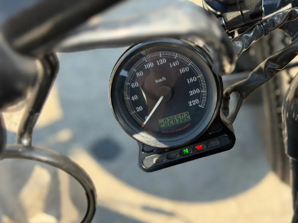 Harley-Davidson XL1200N 2010, фото 2