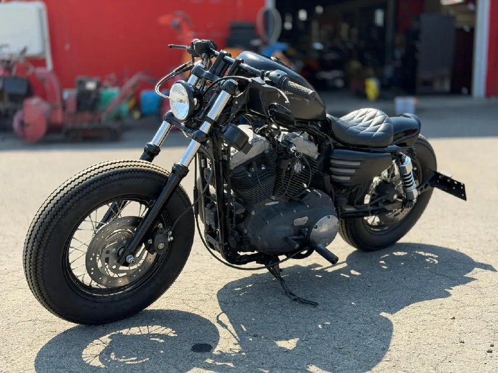 Harley-Davidson XL1200N 2010, фото 4