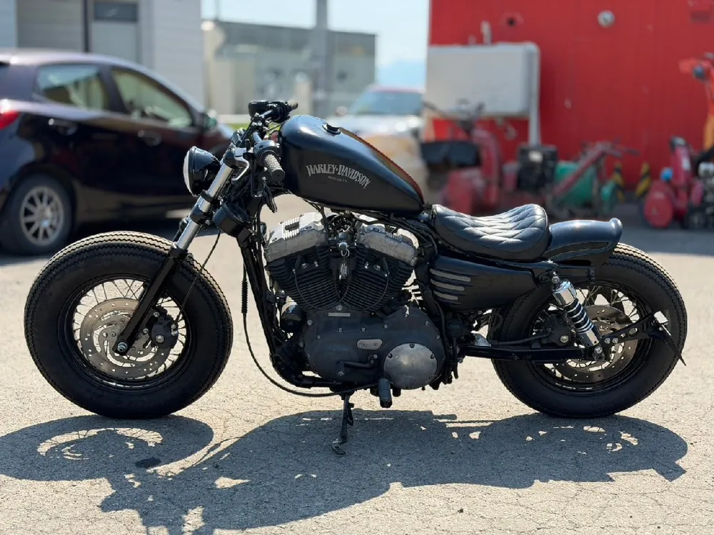 Harley-Davidson XL1200N 2010, фото 5