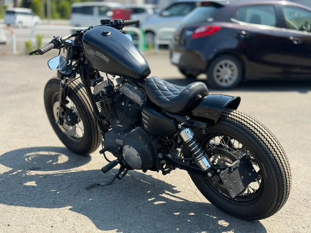 Harley-Davidson XL1200N 2010, фото 6