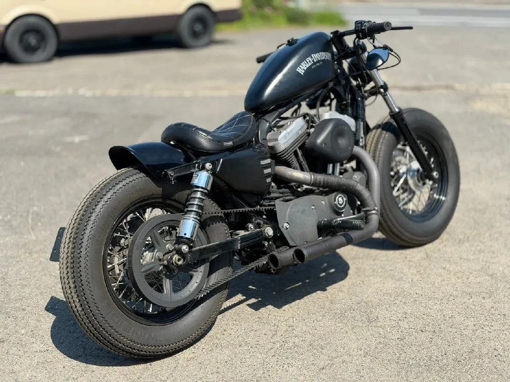 Harley-Davidson XL1200N 2010, фото 7