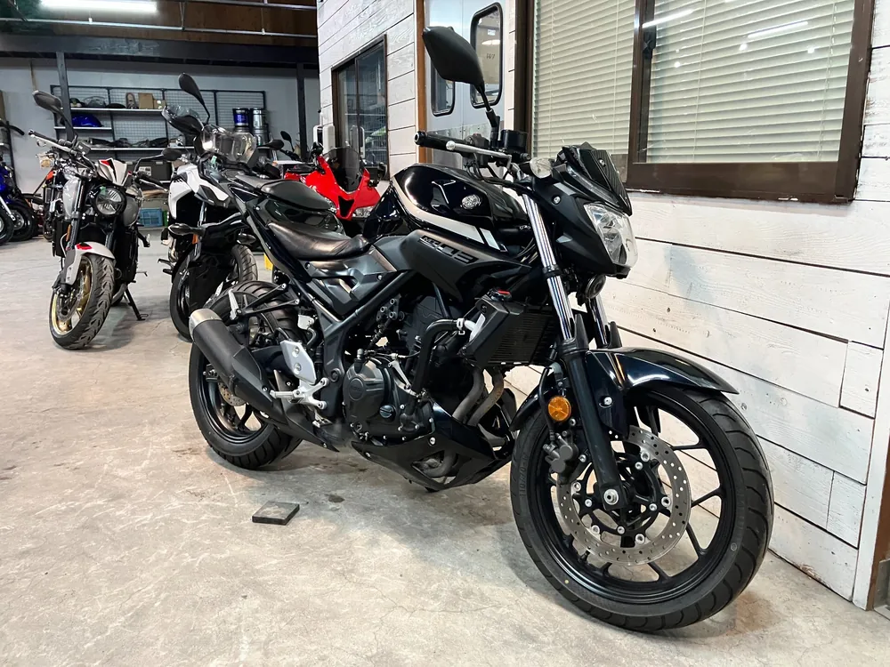 Yamaha MT-03 2019, чёрный, фото 7