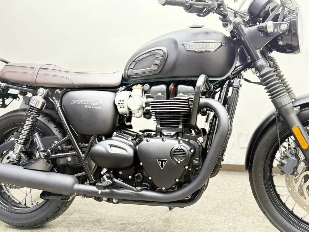 Triumph Bonneville T120 2020, фото 10