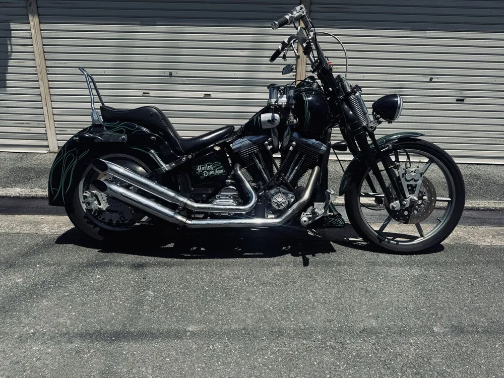 Harley-Davidson Springer Softail 1995, фото 3