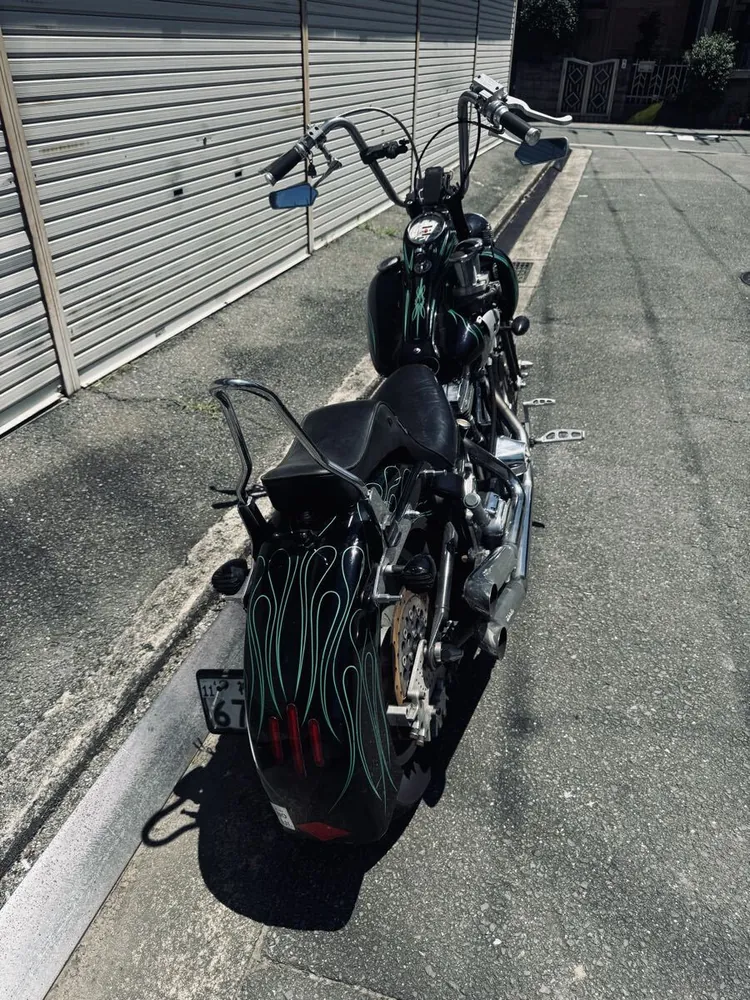 Harley-Davidson Springer Softail 1995, фото 4