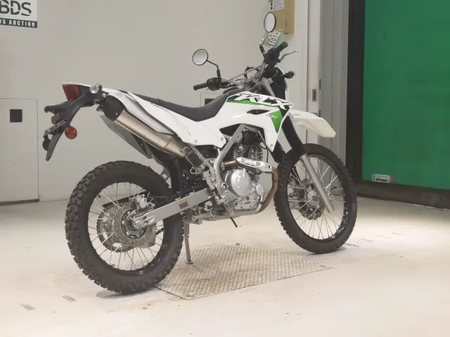Kawasaki KLX230 Sherpa, белый, фото 5