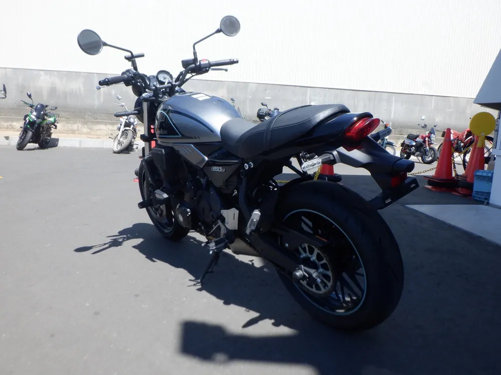 Kawasaki Z650RS 2023, silver/ black, фото 5