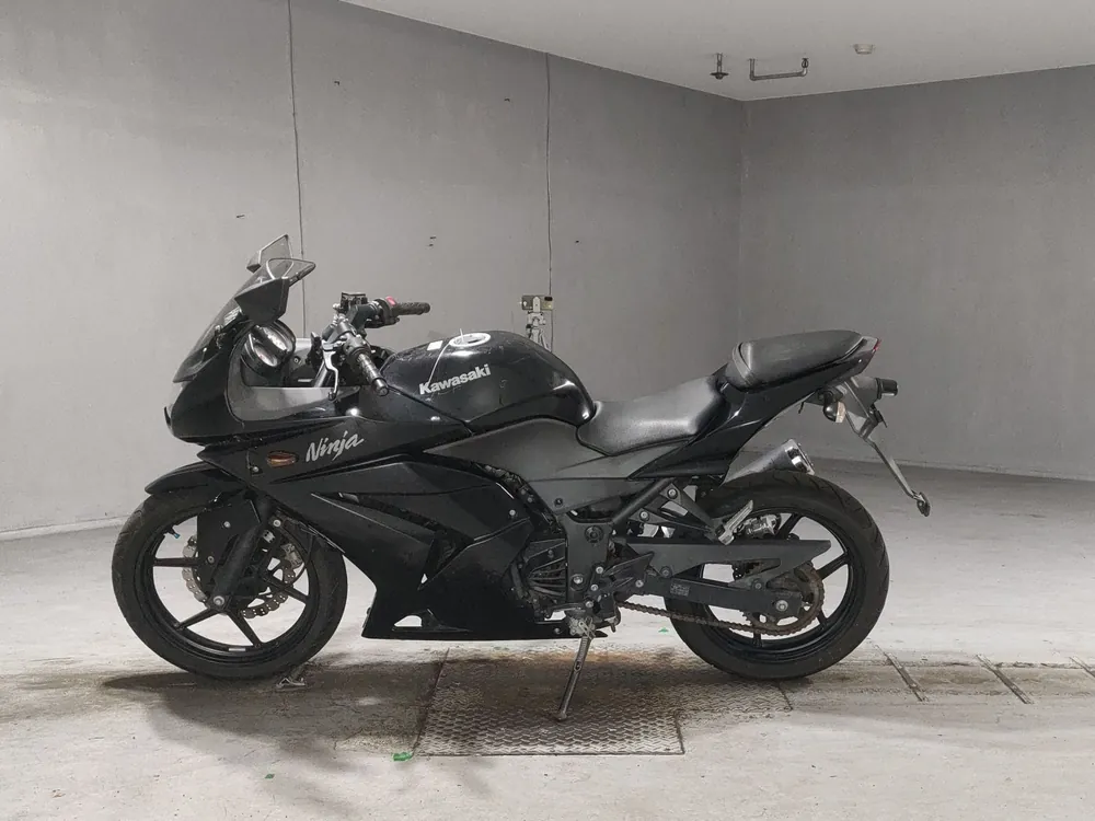 Kawasaki Ninja 250SL, чёрный, фото 2