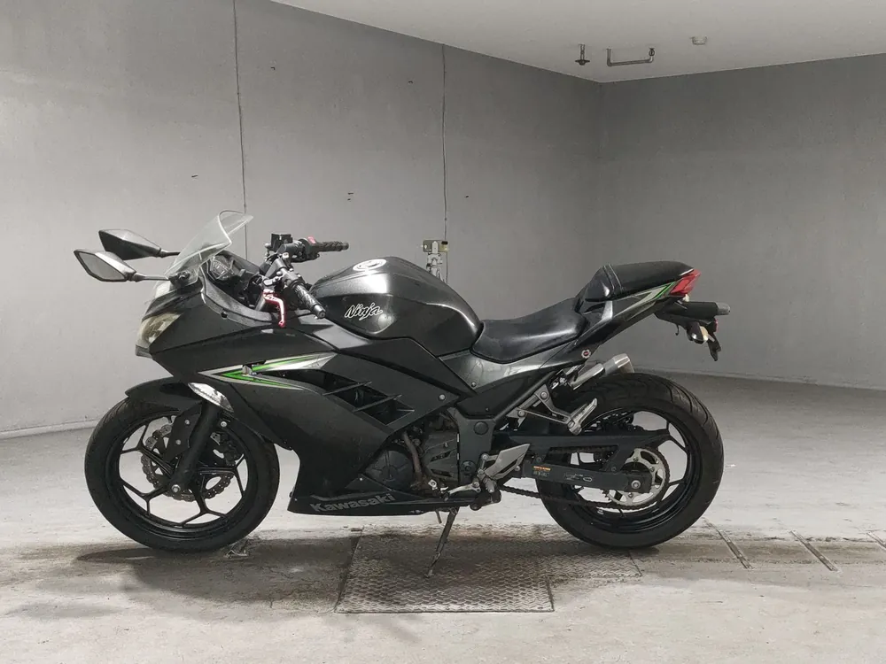 Kawasaki Ninja 250, серый, фото 2