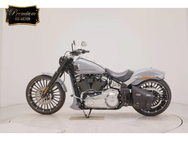 Harley-Davidson FXBR1920 2025, серый, фото 2