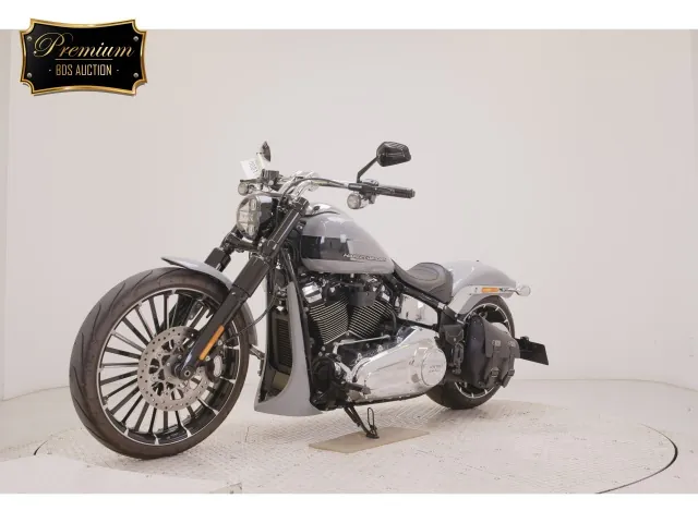 Harley-Davidson FXBR1920 2025, серый, фото 4