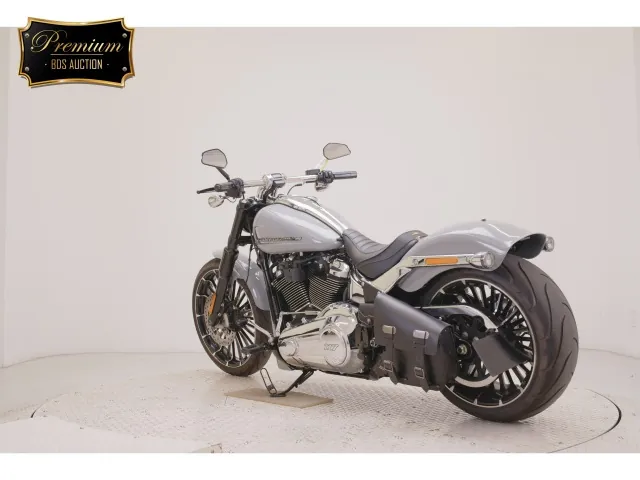 Harley-Davidson FXBR1920 2025, серый, фото 6