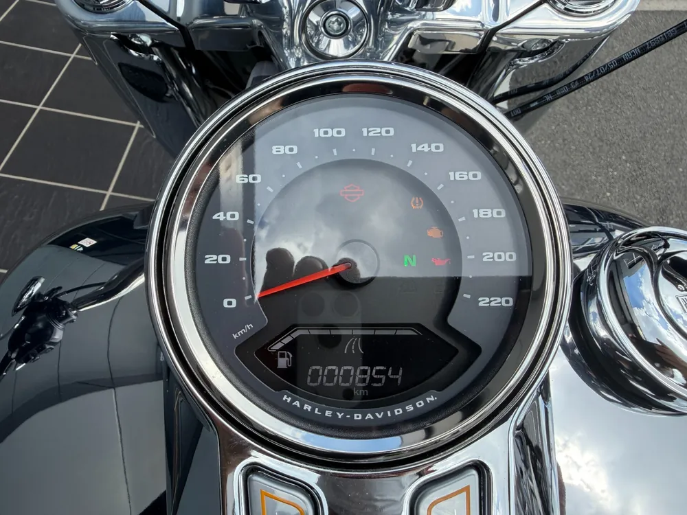 Harley-Davidson FLSTFI 2025, rifurekushon, фото 4