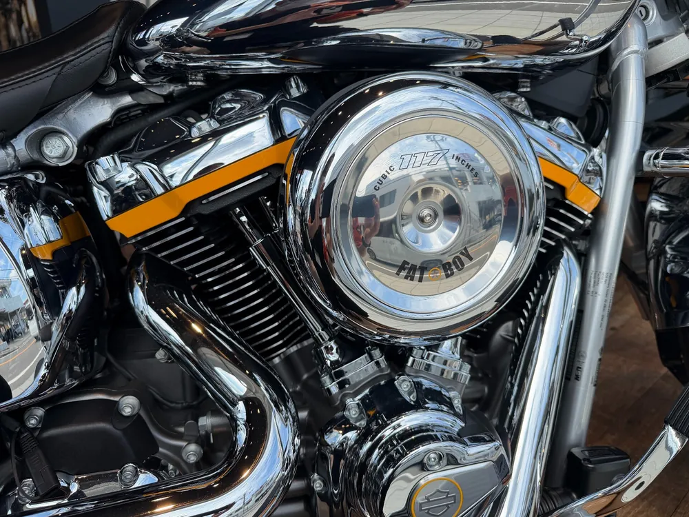 Harley-Davidson FLSTFI 2025, rifurekushon, фото 5