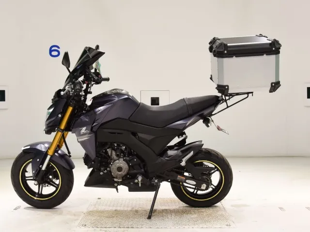 Kawasaki Z125 PRO, matt gun, фото 2