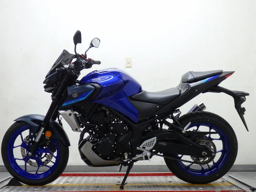 Yamaha YZF-R25, синий, фото 2