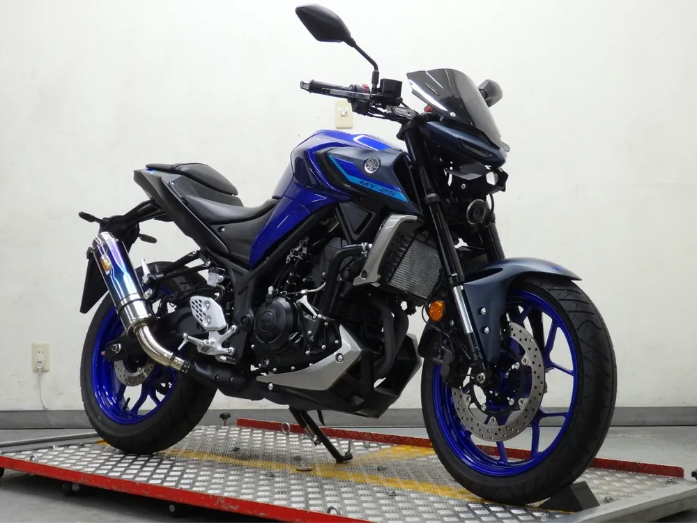 Yamaha YZF-R25, синий, фото 3