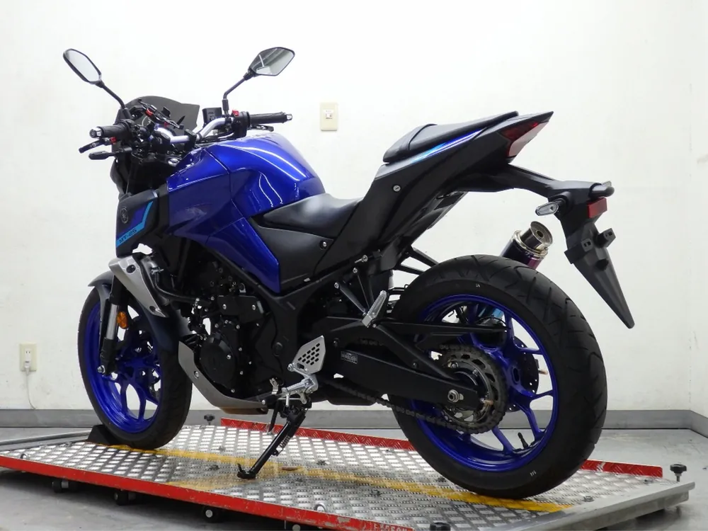 Yamaha YZF-R25, синий, фото 4
