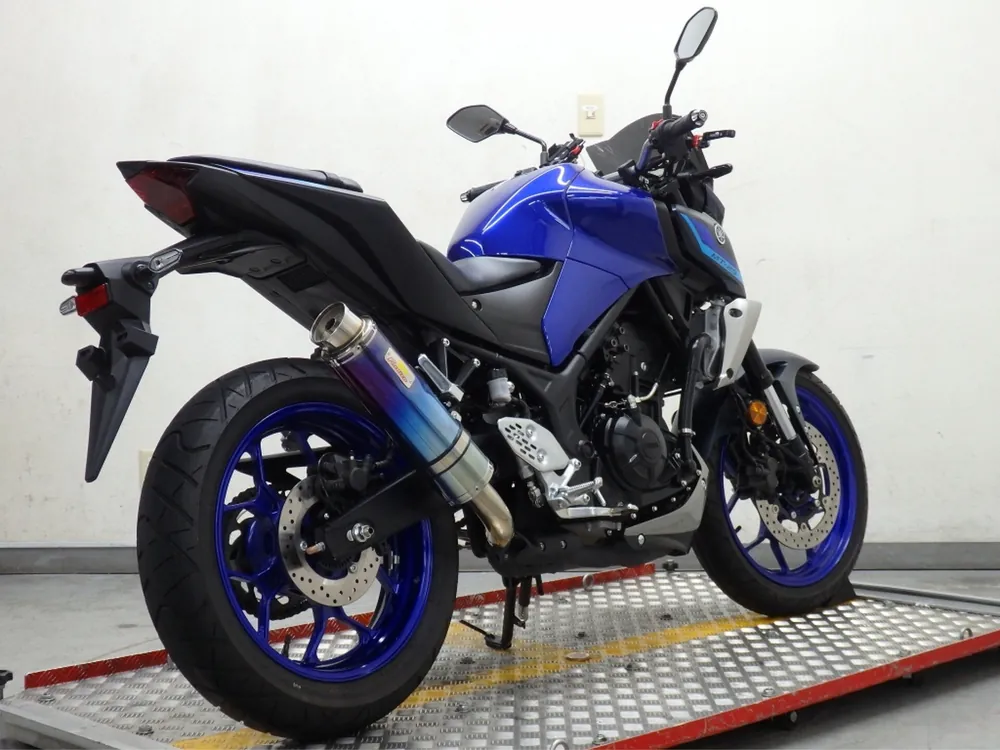 Yamaha YZF-R25, синий, фото 7