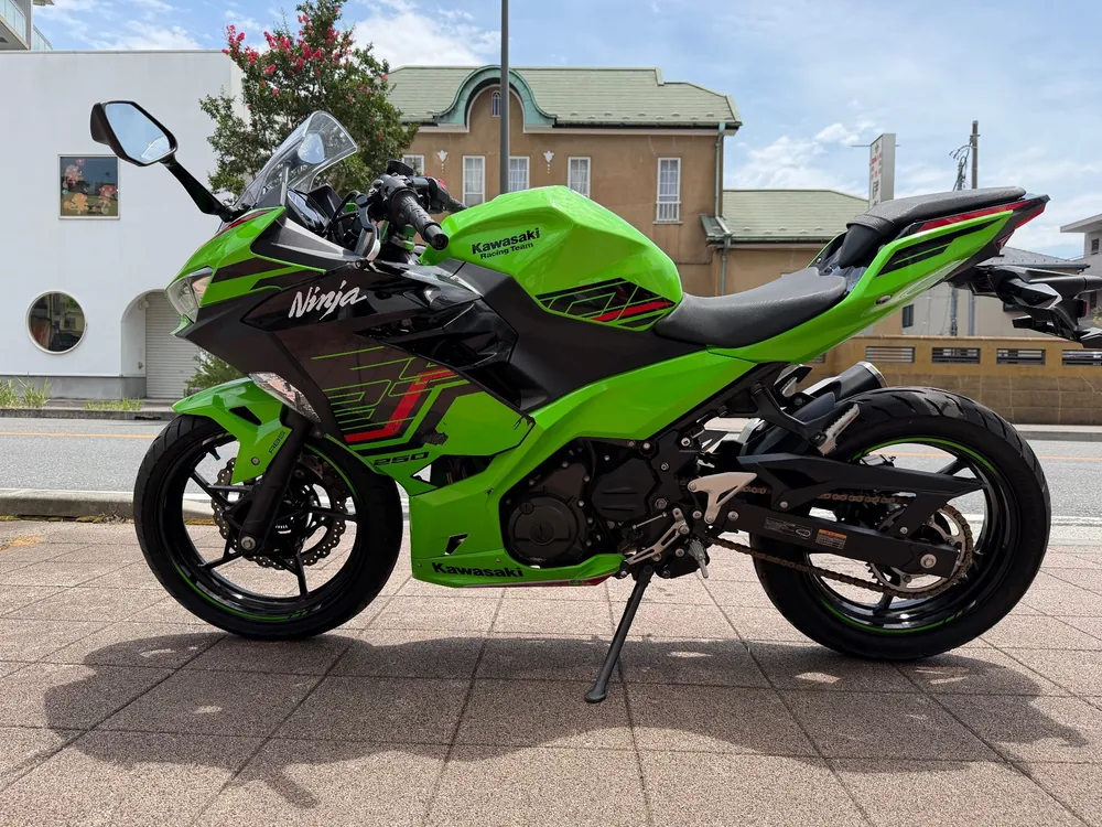 Suzuki GSF1200S, lime / black, фото 2